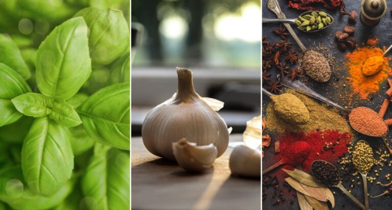 Prirodni način za kontrolu masnoća i pritiska